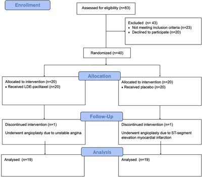 Safety and possible anti-inflammatory effect of paclitaxel associated with LDL-like nanoparticles (LDE) in patients with chronic coronary artery disease: a double-blind, placebo-controlled pilot study